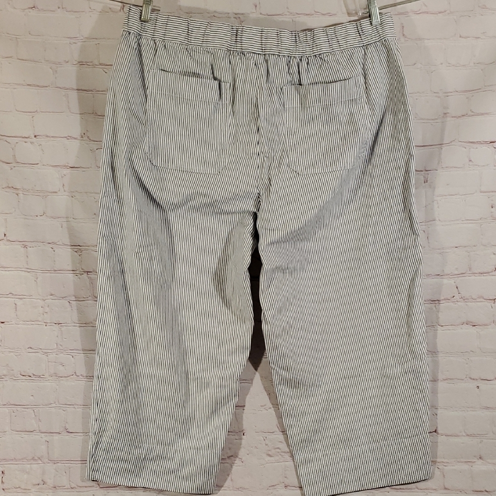 Talbots Blue And White Striped Cropped Pants Pockets Size 2X - Picture 5 of 8